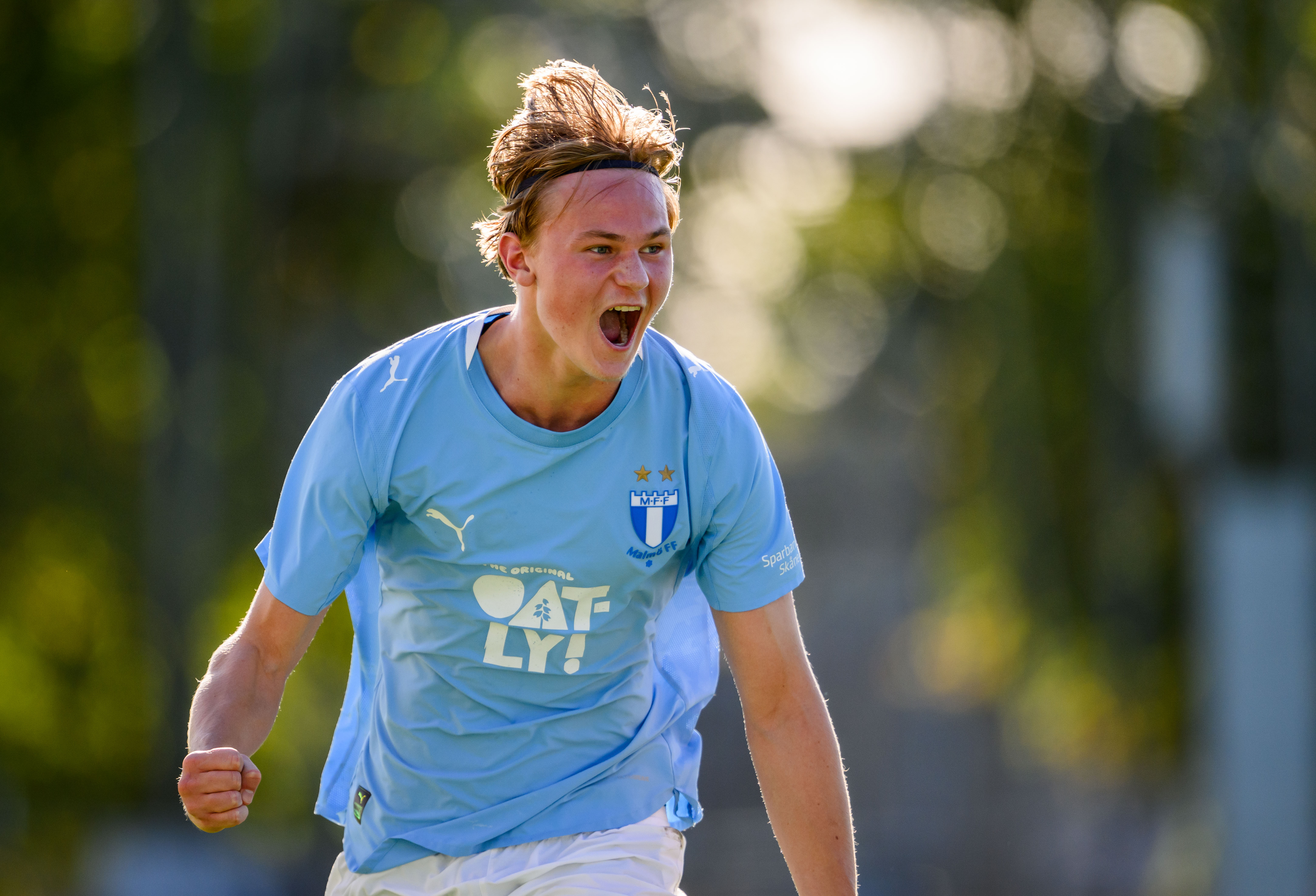 Serieledning för P19